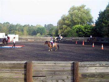 Willowbrook Riding Centre Chichester Buitenkant foto